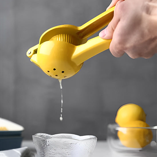 presse-agrume-manuel-savoureux