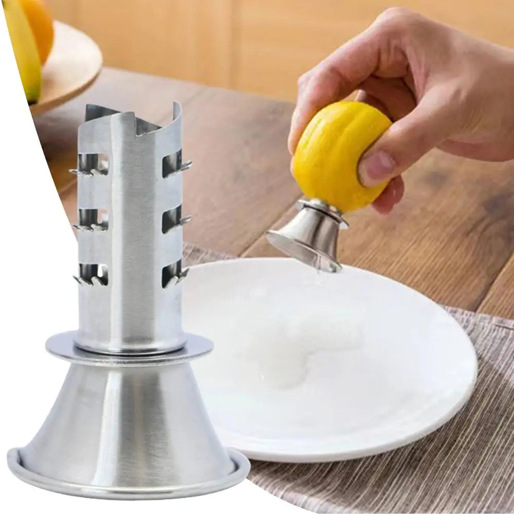 presse citron manuel stable et durable