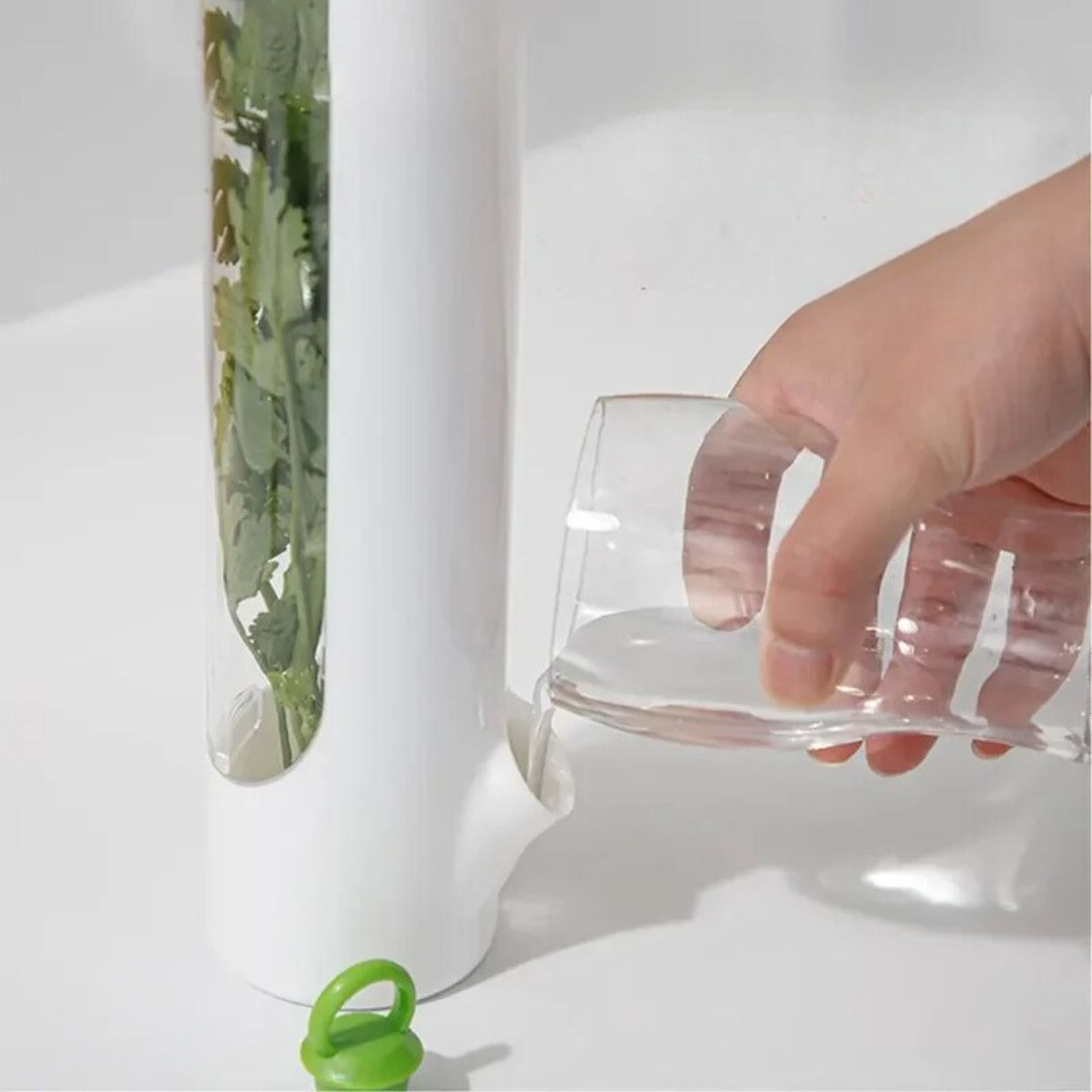 boite-de-conservation-alimentaire-élégante