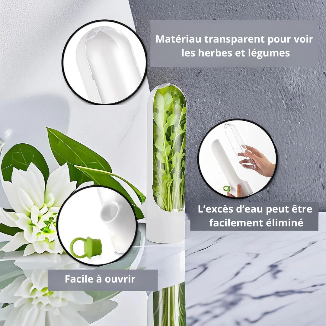 boite-de-conservation-alimentaire-écologique