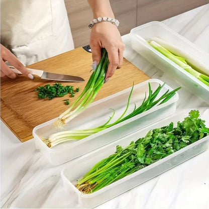boite-de-conservation-alimentaire-ordonnée