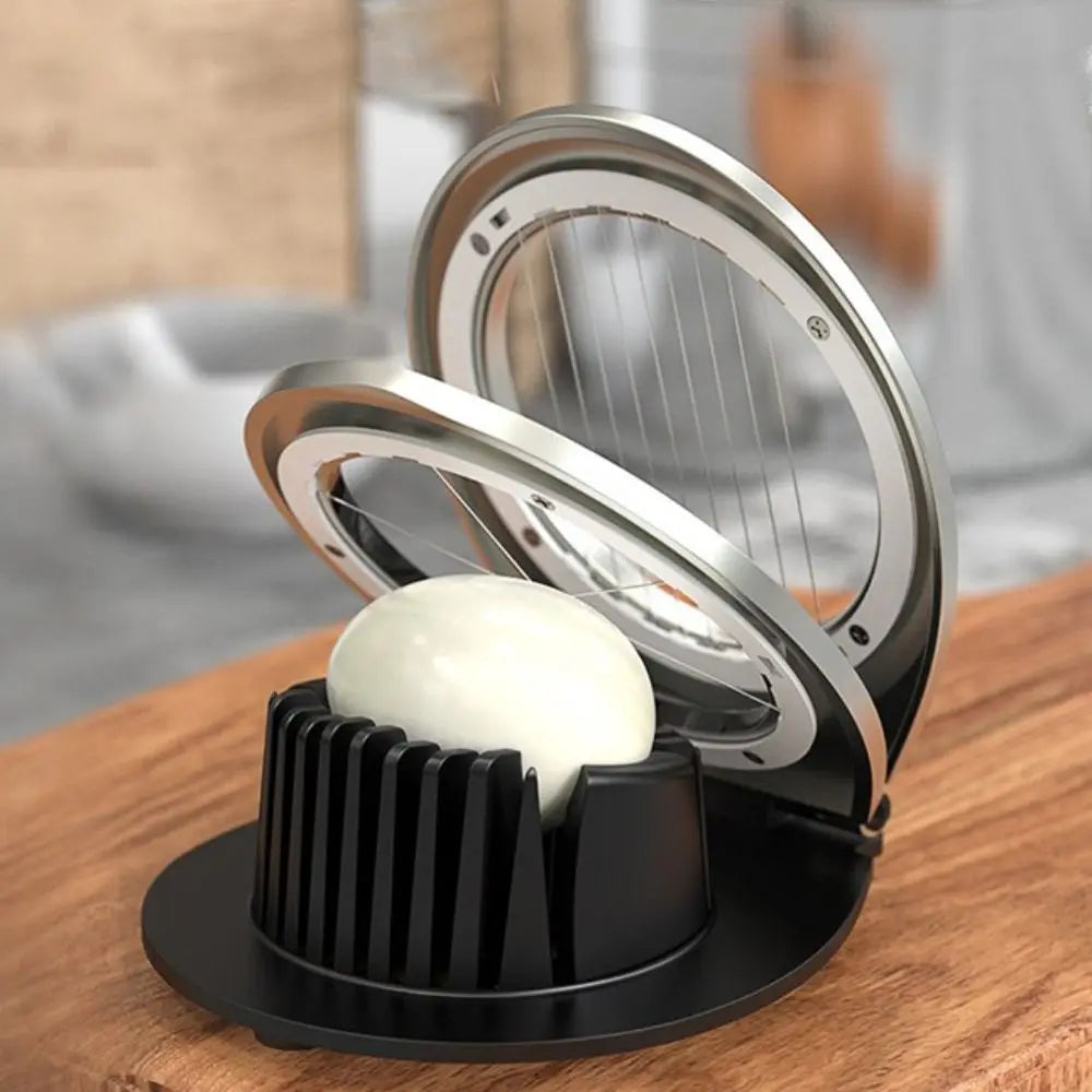 coupe oeuf structure ovale