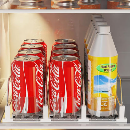 organisateur-frigo-révolutionnaire