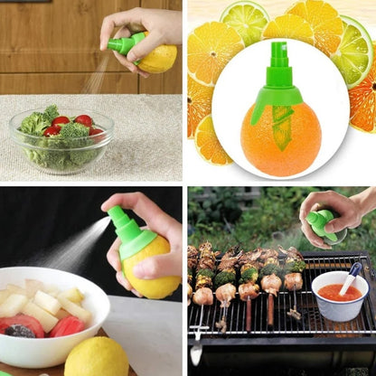 presse-citron-manuel-utilisation
